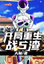 Dragon Ball: Opening Rebirth Battle 5 Slags