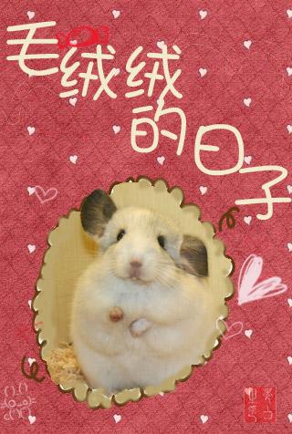[Online Game] Fluffy Days